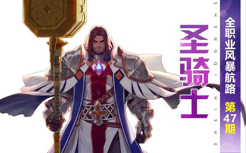 以下是对《DNF》圣骑士职业深度分析报告的结构化解读与建议: