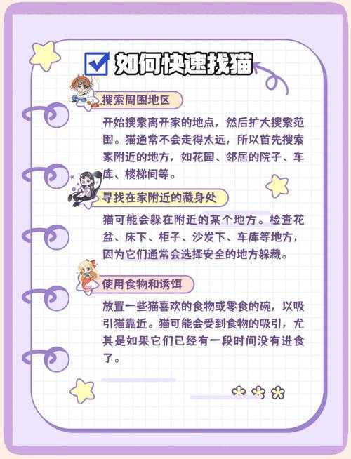 如何安全有效地进行失物招领?失物招领攻略与实用技巧分享