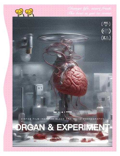 《银白告解者》现象级科幻的多媒介社会影响与未来实验