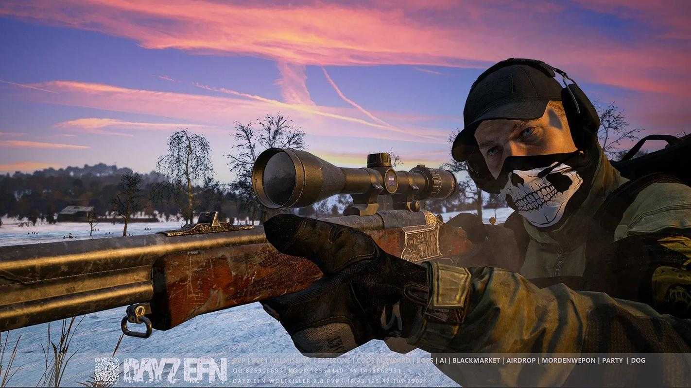 2025《DayZ》社区服务器搜索难题与应对